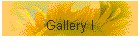 Gallery I