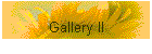 Gallery II